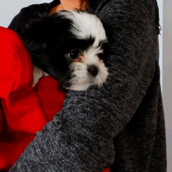 Meet your Posher, Garasi - Picture 1 of 1